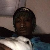 bunny.jpg