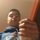 cock