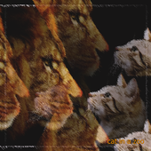 catinazoo.png