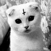 Untitled design (60).jpg