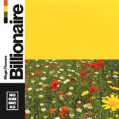 Billionaire