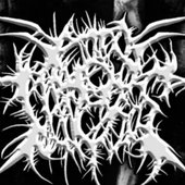 IMG_9252.jpeg