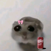 Sillysealgirl 的头像