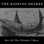 Download EP here: http://thebaskingsharks.bandcamp.com/