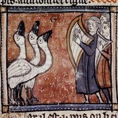 Two harps accompany three singing swans, from (Text B) Richard de Fournival, Bestiaire d’Amour, French, Metz, 1st half of the 14th century.