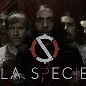 spee.jpg