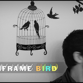 Avatar di MainframeBird