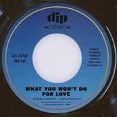 What You Won't Do for Love