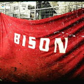 Bison-sthlm 的头像