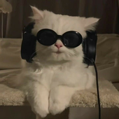 luanaa04 的头像