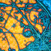 Avatar for Saighed