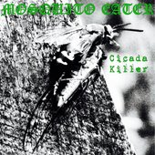 Cicada Killer