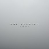 The Meaning