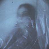 0015206602_10.jpg