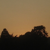 0000316047_100.png