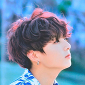 springday33 的头像