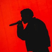 Red Outline