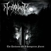 The Darkness Of A Hungarian Forest