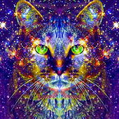 Psych_Cat_54 的头像
