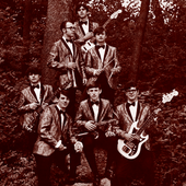 the-shandells.png
