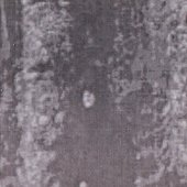 Front~2.jpg