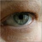 Avatar for orel_na_vole