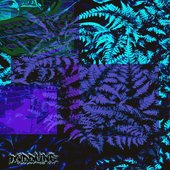 There's Penguins in Argentina!