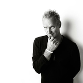 Sting - Photo's author not found.