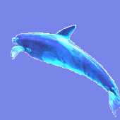 httpskxll 的头像