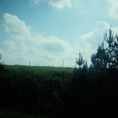 IMG_1255.jpeg