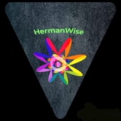 HermanWise 的头像