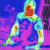 Avatar for danieljcf