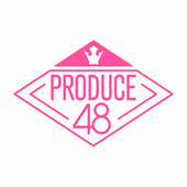 PD48 LOGO