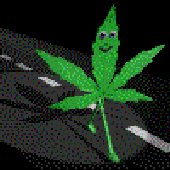Avatar for casada4stra