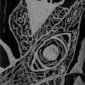 Demo II