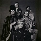 The Electric Prunes