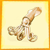 Avatar for KalmarC