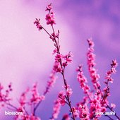 Alex Asahi - blossom (last.fm artist cover)