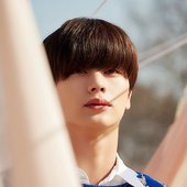 yook