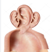 Alrst0rr 的头像
