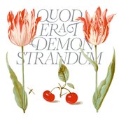Q.E.D