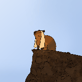 nocapybara 的头像
