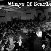 wings of scarlet