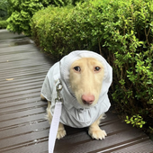 BearMuncher 的头像