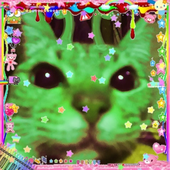 Docctorzz 的头像