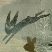 organcrit_ 的头像