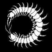11329910_902475433131656_5539289348047593976_n.jpg