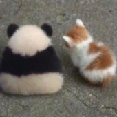 AngyPanda さんのアバター