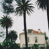 IMG_6901.jpeg