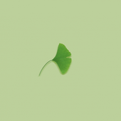 Avatar for lwfire